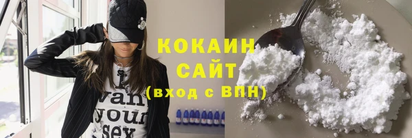 сатива Бронницы