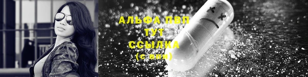 сатива Бронницы