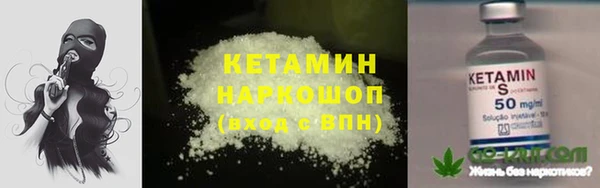 сатива Бронницы