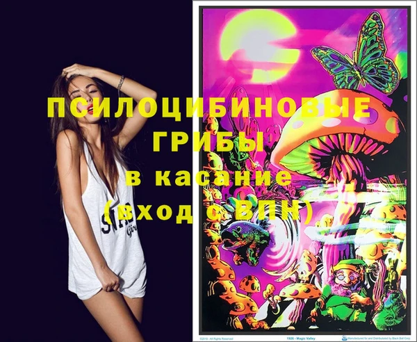 сатива Бронницы