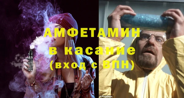 сатива Бронницы