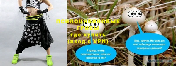 амф Бугульма