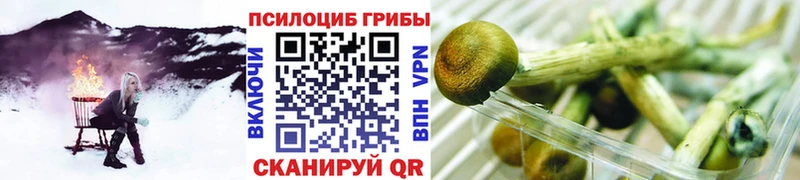Купить  Инсар  Галлюциногенные грибы ЛСД 